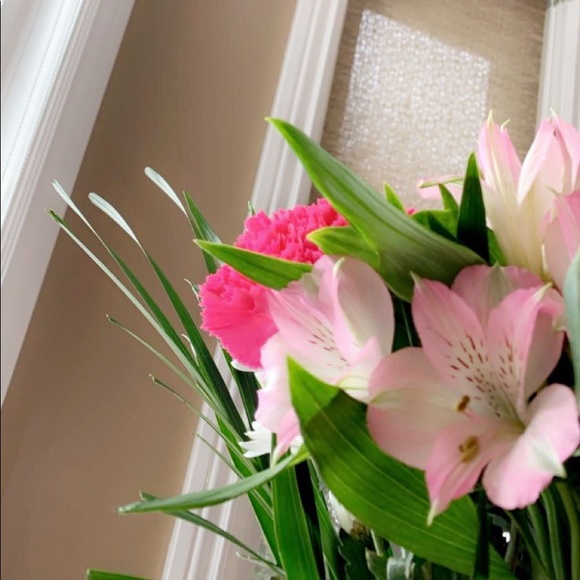 Meet your Posher, Rachel - Picture 1 of 1